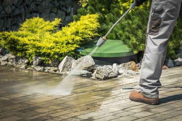 Best Dumpster Area Cleaning  in Mattawan, MI
